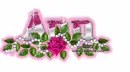Pink rose-Ann