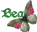 Bea's butterfly