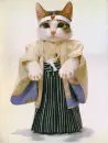 Kimono Cats