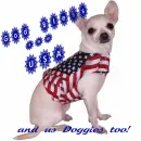 God Bless the USA