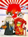 Kimono Cats2