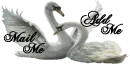 Swan Dance
