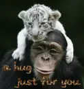 A Hug Just For You