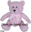 I love you Beary Much