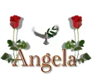 dove -- for Angela