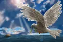 Dove