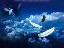ANGELS