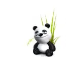 a panda