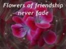 FRIENDSHIP