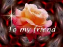 FRIENDSHIP