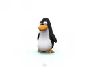 a penguin