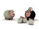 6 sheep