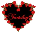 Tuesday