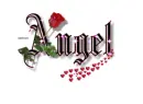 rose for My Angel