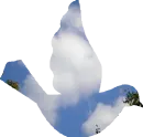 CLOUD BIRD