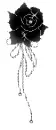 Black Rose