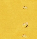 Funny bees