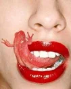 Frog tongue