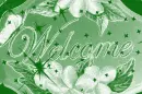 Welcome in Green