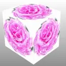 CUBED ROSE