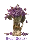 Sweet Violets 