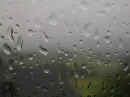Rain on Window