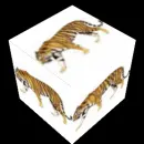 Tiger cube