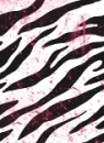zebra backround .