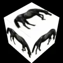 Horse cube
