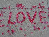 Love written in rose petals