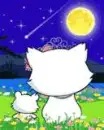 kittes