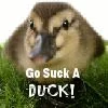 go