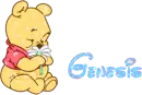 genesis baby pooh