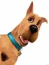Scooby Doo (Real Movie)