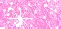 pink glitter
