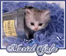 Mariel
