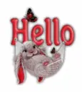Hello Bunny