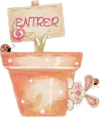 enter