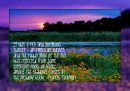 A Beautiful Sunset
