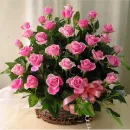 rosas