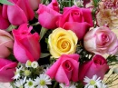rosas