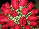 rosas