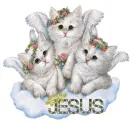 Cats on cloud