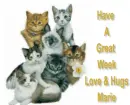 Cats