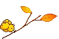 autimn leaf