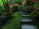 steps
