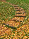 fall steps