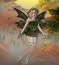 FOREST FAIRY