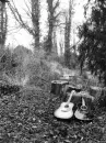 two guitars
