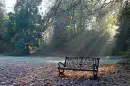 sunlight bench